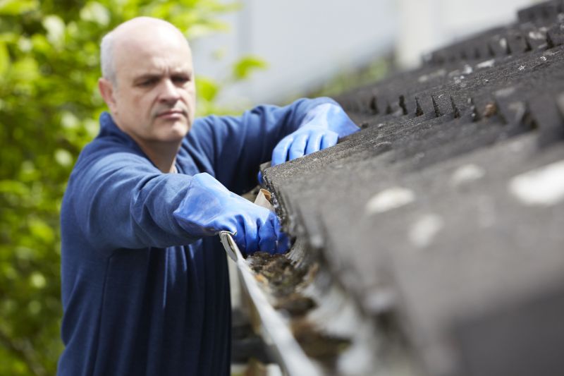 Gutter cleaning service
