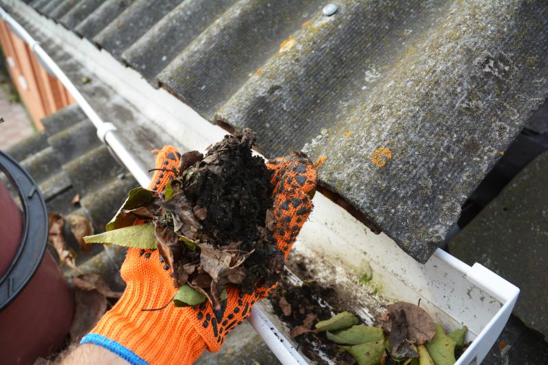 Gutter Cleaning in Spring